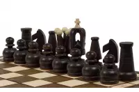 SZACHY ROYAL MINI (27x27cm) - nie tylko dla dzieci SZACHY ROYAL MINI (27x27cm) - nie tylko dla dzieci