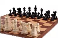 Zestaw szachowy dla początkujących - DGT Starter Box (44x44cm)