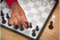 Torba na DGT Pegasus Torba na DGT Pegasus