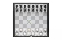 Torba na DGT Pegasus Torba na DGT Pegasus