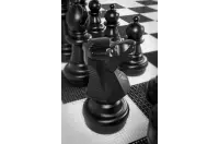 Figury plastikowe do szachów plenerowych / ogrodowych (wysokość króla 64 cm) Figury plastikowe do szachów plenerowych / ogrodowych (wysokość króla 64 cm)