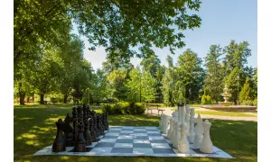 GRY PLENEROWE (OGRODOWE, XXL, PARKOWE)