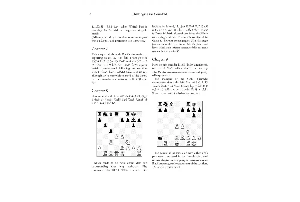 Challenging the Grunfeld by Edward Dearing (miękka okładka)
