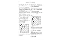 Champions of the New Millennium - Ftacnik, Kopec and Browne (miękka okładka) Champions of the New Millennium - Ftacnik, Kopec and Browne (miękka okładka)