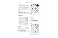 Champions of the New Millennium - Ftacnik, Kopec and Browne (miękka okładka) Champions of the New Millennium - Ftacnik, Kopec and Browne (miękka okładka)