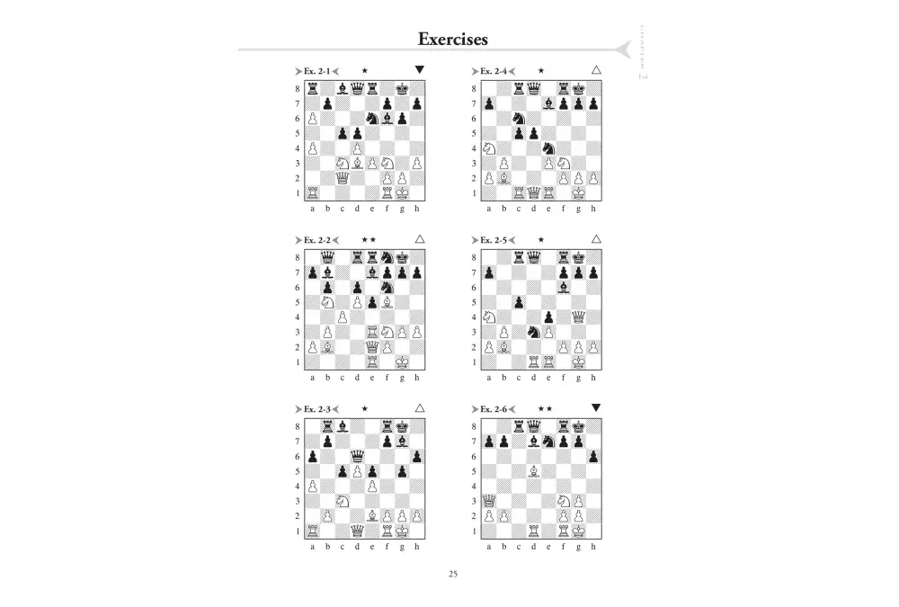 Chess Evolution 2 by Artur Yusupov (miękka okładka)