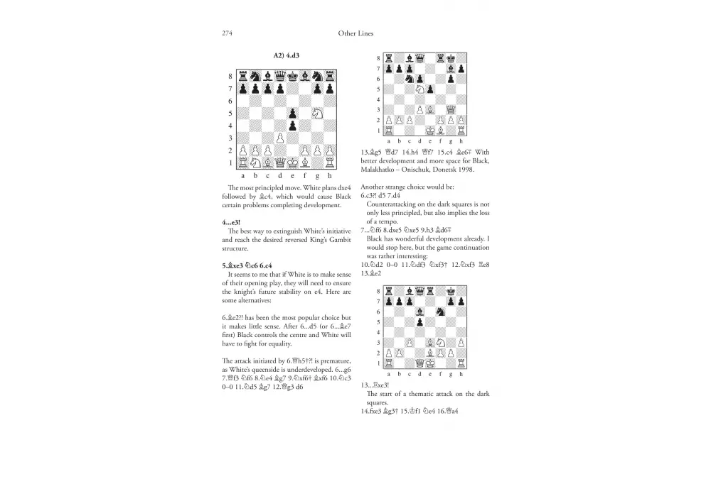 Dutch Sidelines by Mihail Marin (miękka okładka)